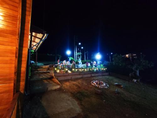 a backyard lit up at night with christmas lights at Casa Alpina - Barlovento Ecolodge Tarapoto - Matrimonial in Tarapoto