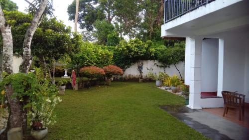 Κήπος έξω από το Tanya Homestay