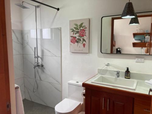 a bathroom with a shower and a toilet and a sink at Villas Santa Maria - Private Bay Lake Arenal in Nuevo Arenal