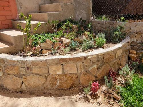 Φωτογραφία από το άλμπουμ του Departamento Miguel Angel σε Oaxaca City