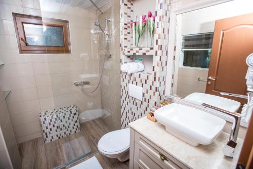 a bathroom with a toilet and a sink and a shower at Vila Bisera in Ohrid