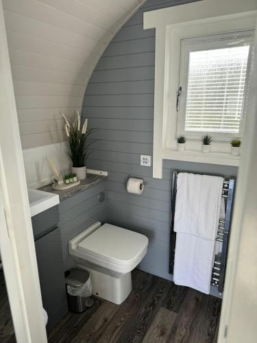 Un baño con inodoro, lavabo y ventana. en Windmill Glamping Pod with hot tub - The Snug, en Swavesey