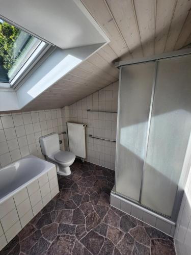 a bathroom with a shower and a toilet and a tub at La Villa Joly - Avenches in Avenches
