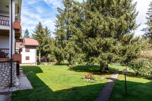 a yard with a tree and a house at Residence Dei Medici-La casa nel parco in Pescasseroli