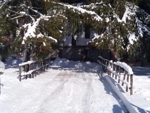 a bench covered in snow next to a tree at Residence Dei Medici-La casa nel parco in Pescasseroli