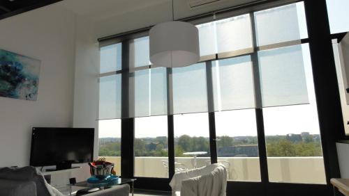 Loft climatisé vue fleuve parking gratuit