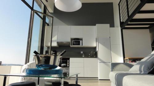 Loft climatisé vue fleuve parking gratuit