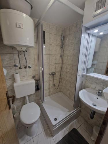 a bathroom with a shower and a toilet and a sink at Delta in Blace
