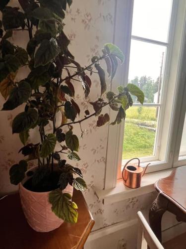 Aed väljaspool majutusasutust Cozy 1700s farmhouse on Seskarö Island