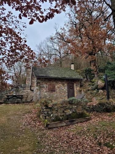 an old stone building in a yard with leaves on the ground at Insolite bergerie dans la forêt in Arnac-sur-Dourdou