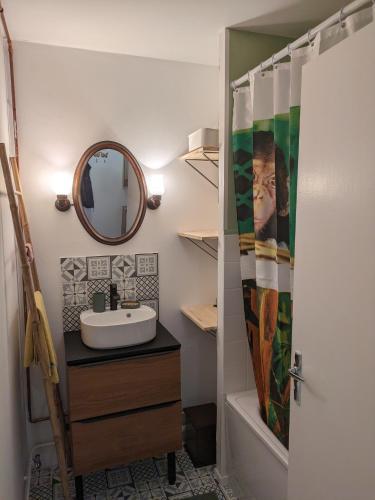 une salle de bain avec un lavabo et un miroir dans l'établissement Appartement cosy - centre-ville, à Boulogne-sur-Mer