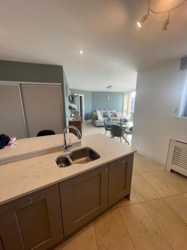 a kitchen with a sink and a living room at Fabulous and Sunny 2 bed Apartment, in City Centre in Cork