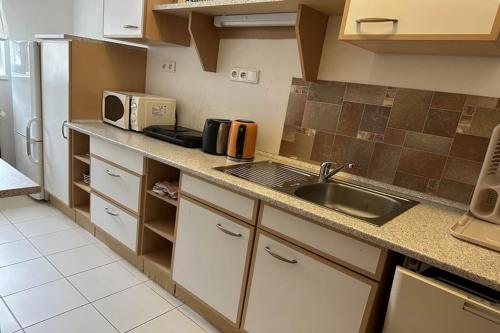a small kitchen with a sink and a microwave at Penzion Erika in Boží Dar