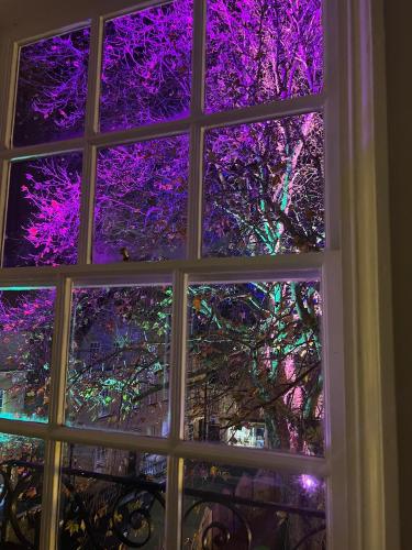 a window view of a tree with purple lights at Flat in the heart of Bath with stunning views in Bath