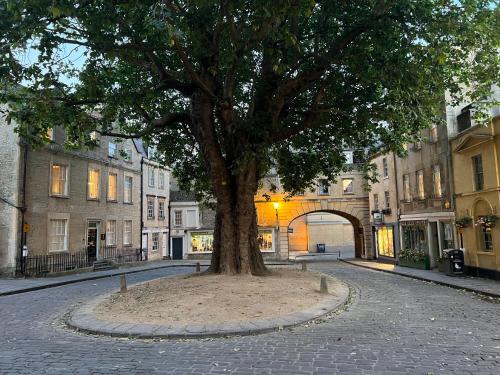 a tree in the middle of a street at Flat in the heart of Bath with stunning views in Bath