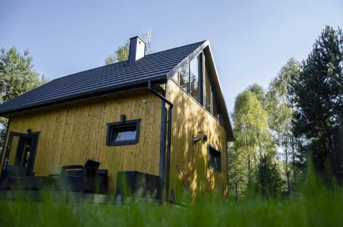 a tiny house with a black roof and windows at Dom na krańcu lasu in Ostrowy