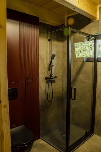 a shower with a glass door in a bathroom at Dom na krańcu lasu in Ostrowy