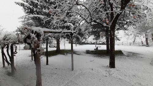 a park covered in snow with trees and branches at Langhe di Liguria B&B in Piana Crixia