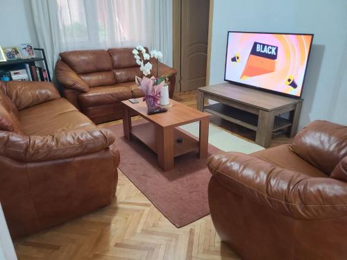 a living room with leather furniture and a flat screen tv at Ace in Vodno