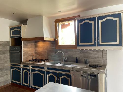 une cuisine avec des armoires bleues et un évier dans l'établissement Rez de villa entre ville et montagne, à Brié-et-Angonnes