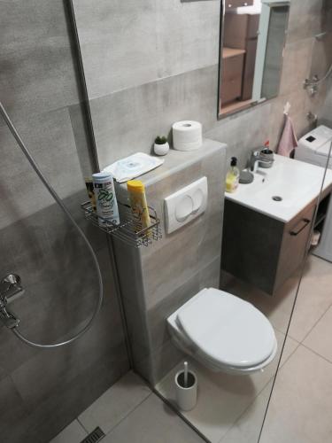 a bathroom with a toilet and a sink at Apartman Bonaca in Pržno