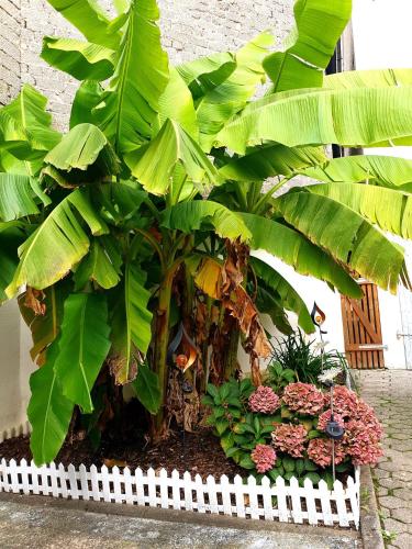 a large green plant in a white fence at Ferienwohnung am Halfterweg in Hirschberg