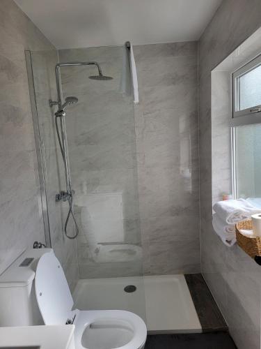 a bathroom with a white toilet and a shower at Mountain View Cottages in Tralee