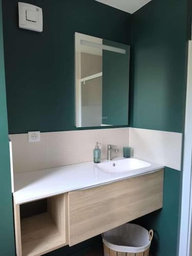une salle de bain avec un lavabo et un miroir dans l'établissement Entre Vignes et Forêt, à Tauxières-Mutry