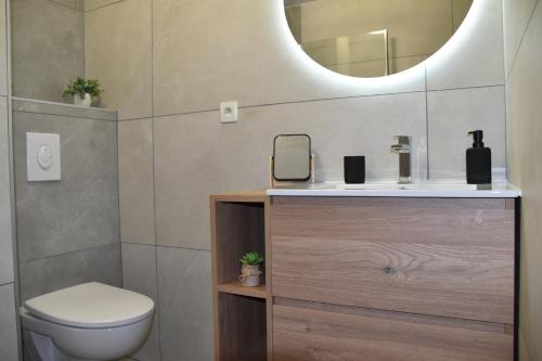 une salle de bain avec un lavabo, des toilettes et un miroir dans l'établissement Appartement 6 places aux pieds des pistes avec piscine, wifi et parking privé, salle de bain refaite à neuf, à Orcières