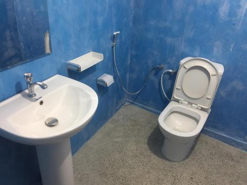 a bathroom with a toilet and a sink at Anjana guest house in Haputale