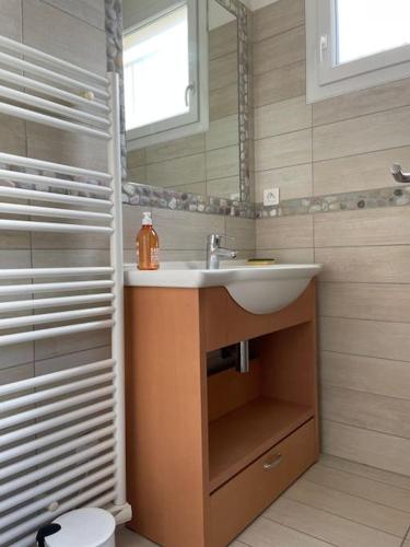 une salle de bain avec un lavabo et un miroir dans l'établissement Villa Faustine Arcachon, à La Teste-de-Buch