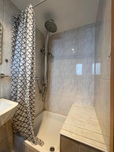 a bathroom with a shower and a sink at Apartment Violine2 am Bahnhof-City in Bayreuth