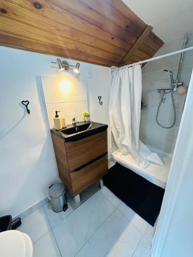 une petite salle de bain avec un lavabo et une douche dans l'établissement Charmant studio entièrement rénové et équipé, à Cannes-Écluse