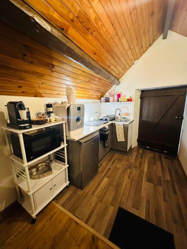 Il comprend une cuisine dotée de plafonds en bois et d'un comptoir. dans l'établissement Charmant studio entièrement rénové et équipé, à Cannes-Écluse