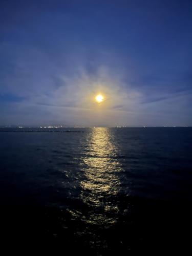 a view of the ocean with the sun in the sky at Oceanfront Villa Hale Kahakai プライベートサウナ in Kōembō