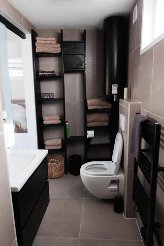 a bathroom with a toilet and a sink at Beach House Hillasol DISHOEK in Koudekerke