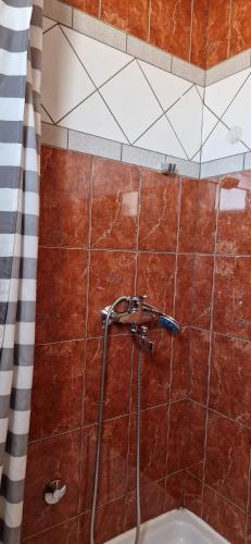 Gallery image of Apartments Burcul Pag in Pag