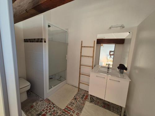a bathroom with a shower and a sink and a toilet at l'Eden caché in Beaune-la-Rolande