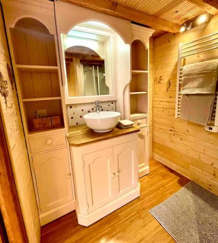 a bathroom with a sink and a mirror at Domaine de Faye in Sauvigny-les-Bois