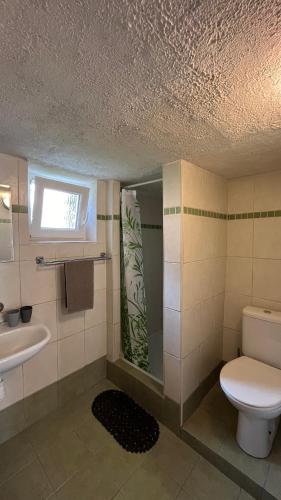 a bathroom with a toilet and a sink at Chalupa u Porubäna in Liptovský Ondrej