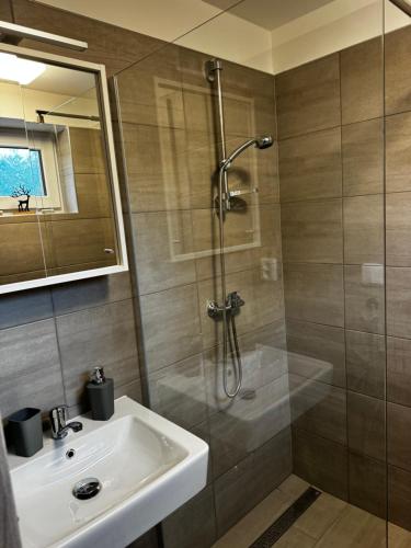 Koupelna v ubytování Apartmán 2 Jägerhaus