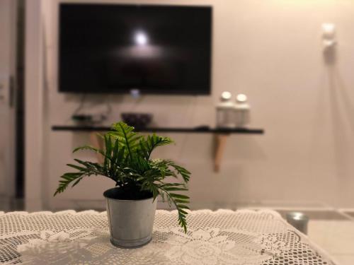 a potted plant sitting on a table in front of a television at The-Home-Away-From-Home in Eilat