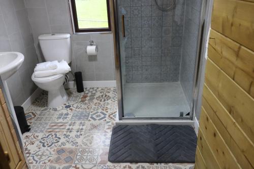 a bathroom with a shower and a toilet at The Cabin Pipershill in Newtown Butler