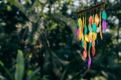 a bunch of colorful feathers hanging from a tree at Casa de Mono Bocas in Big Creek