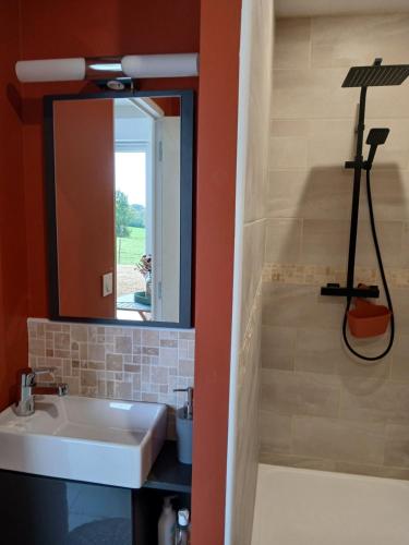 a bathroom with a sink and a mirror at la chambrée in Leschelles
