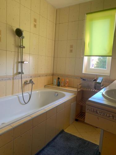 a bathroom with a bath tub and a sink at Apartmán Stará cihelna in Klatovy