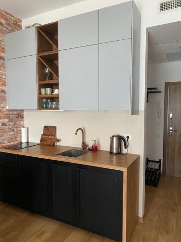 Kuchyňa alebo kuchynka v ubytovaní Apartament Nad Starą Odrą