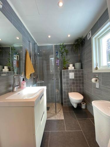 a bathroom with a shower and a sink and a toilet at Dome Glamping with shared bathroom in Lillehammer