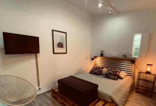 a bedroom with a bed and a flat screen tv at Maison d'hôtes La Capucine in Le Pontet