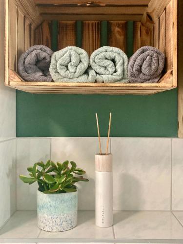 a bathroom with a shelf with towels and a plant at Ferienwohnung Wiesenglück in Burg Kauper